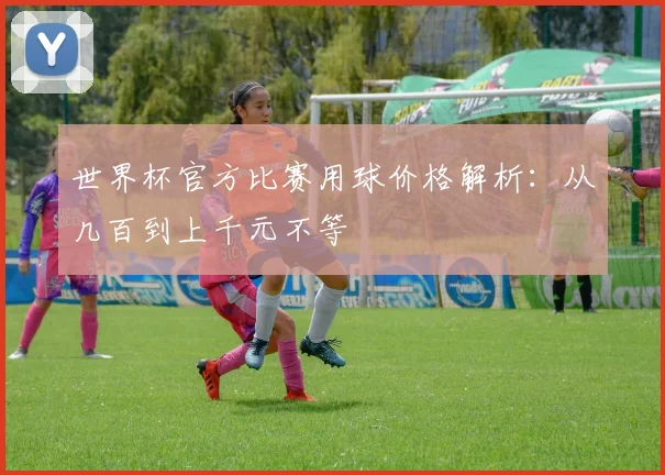 世界杯官方比赛用球价格解析：从几百到上千元不等