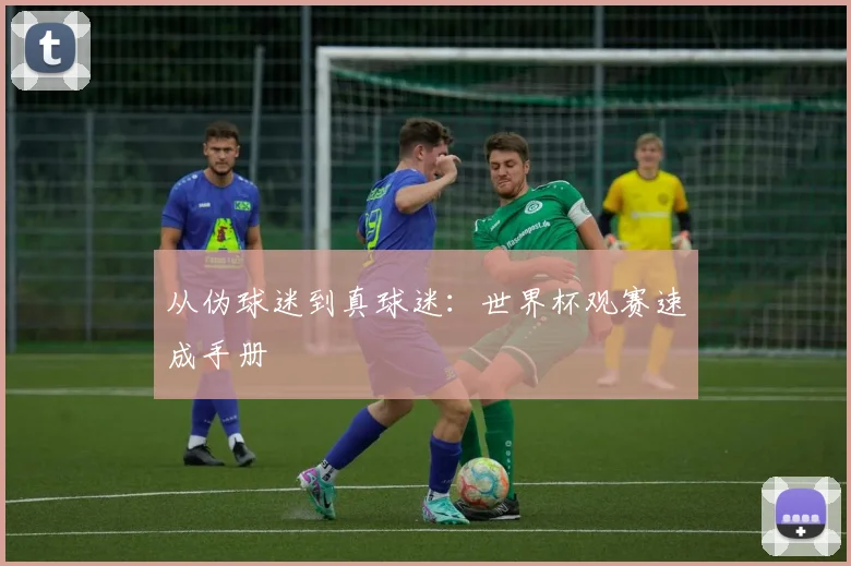 从伪球迷到真球迷：世界杯观赛速成手册